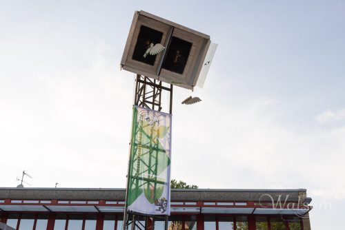 Schützenfest 2026 Buschbell